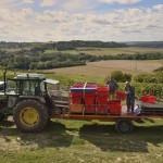 vendanges 2015 - chargement palettes