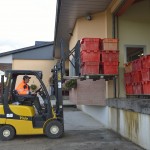 Vendanges 2015 - à la coopérative