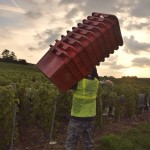 Vendanges 2015 - débardeurs