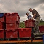 vendanges 2015 - chargement palettes