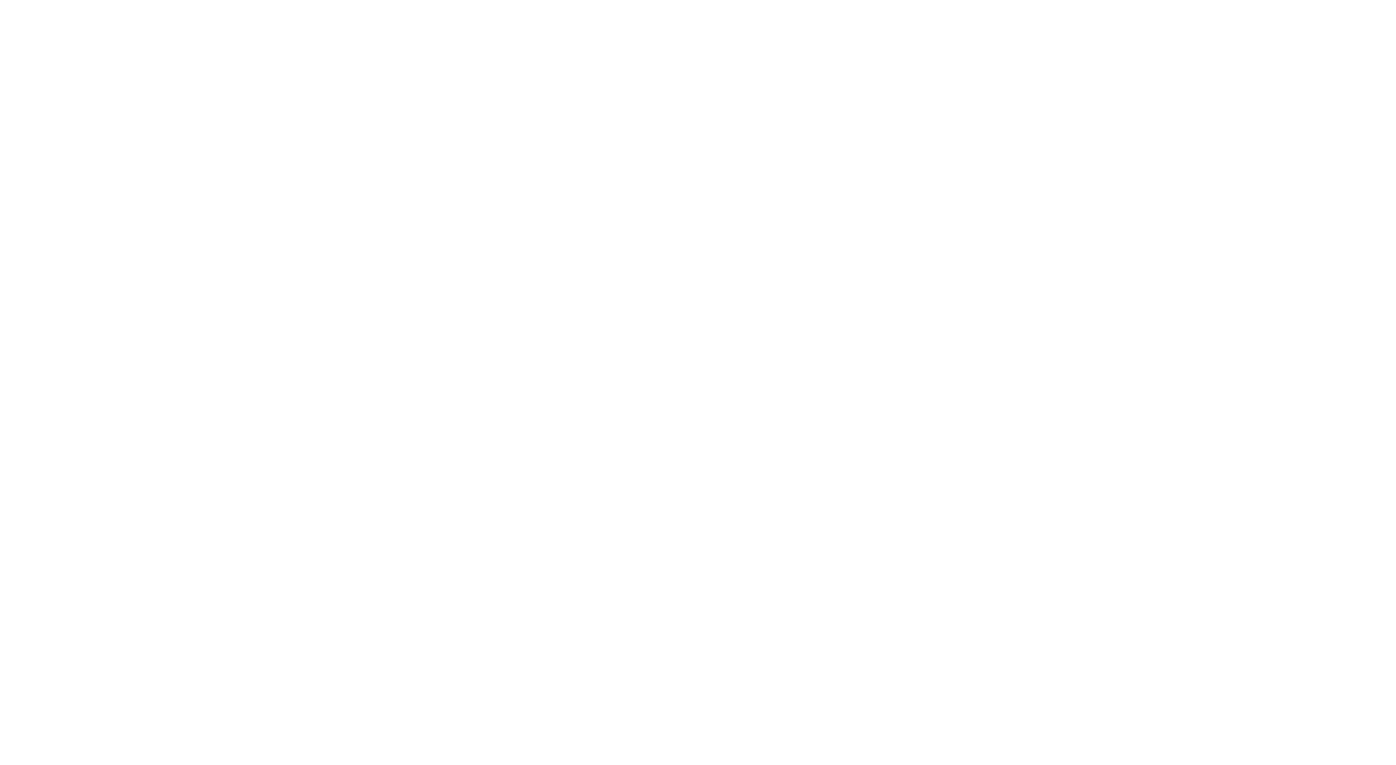 Logo Champagne Vincent Bennezon